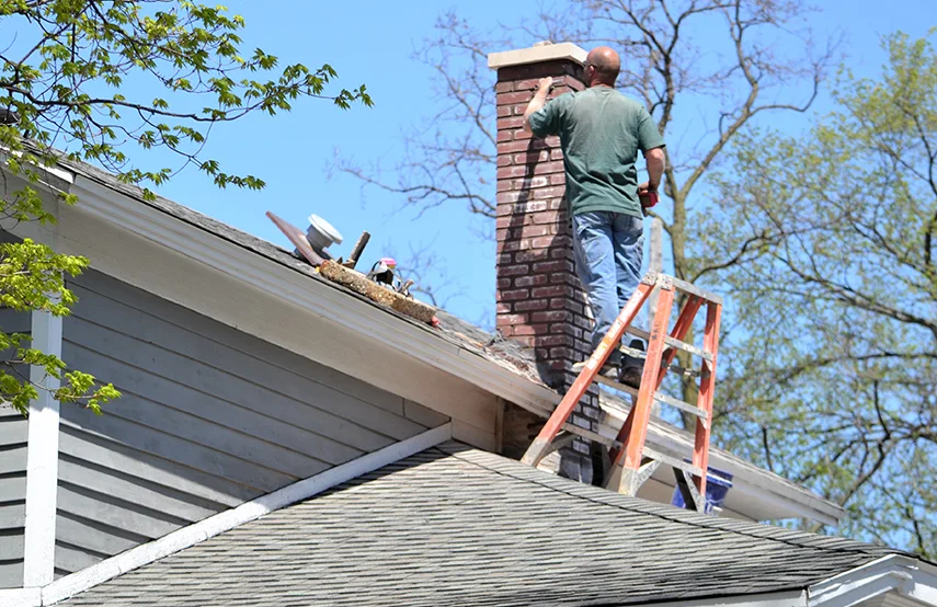 Chimney & Fireplace Inspections Services in Danville, IL